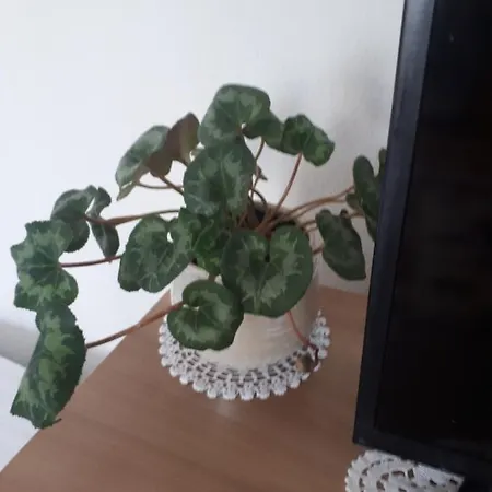 Mi-apartment *
